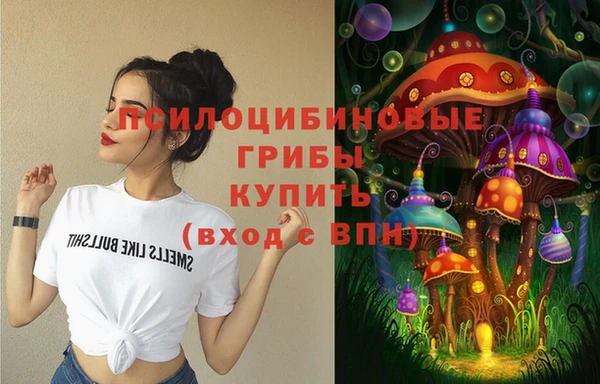 прущие крисы Михайловск