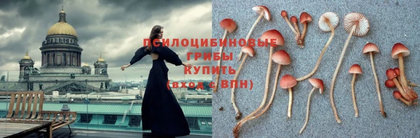 мдма Медвежьегорск